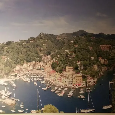 伊甸园酒店 酒店 波托菲诺